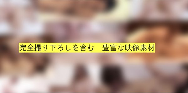 豊富な映像資料を惜しげもなく利用